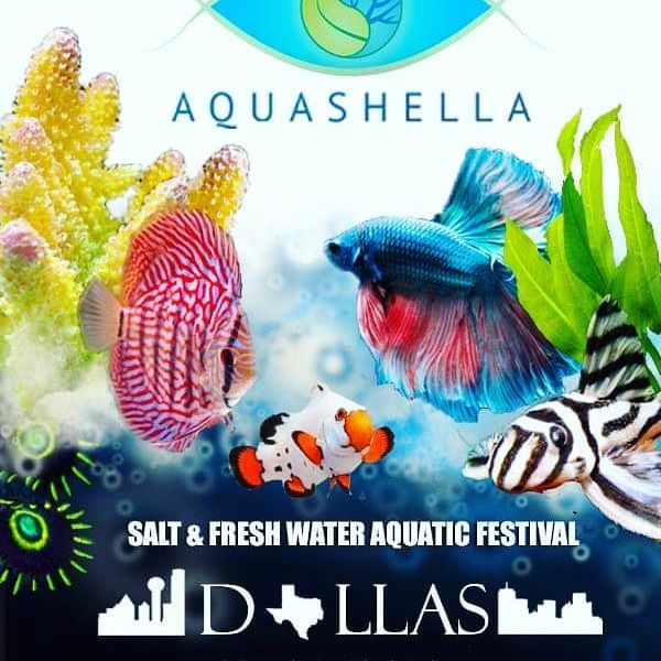 AquashellaDallas2018.jpg