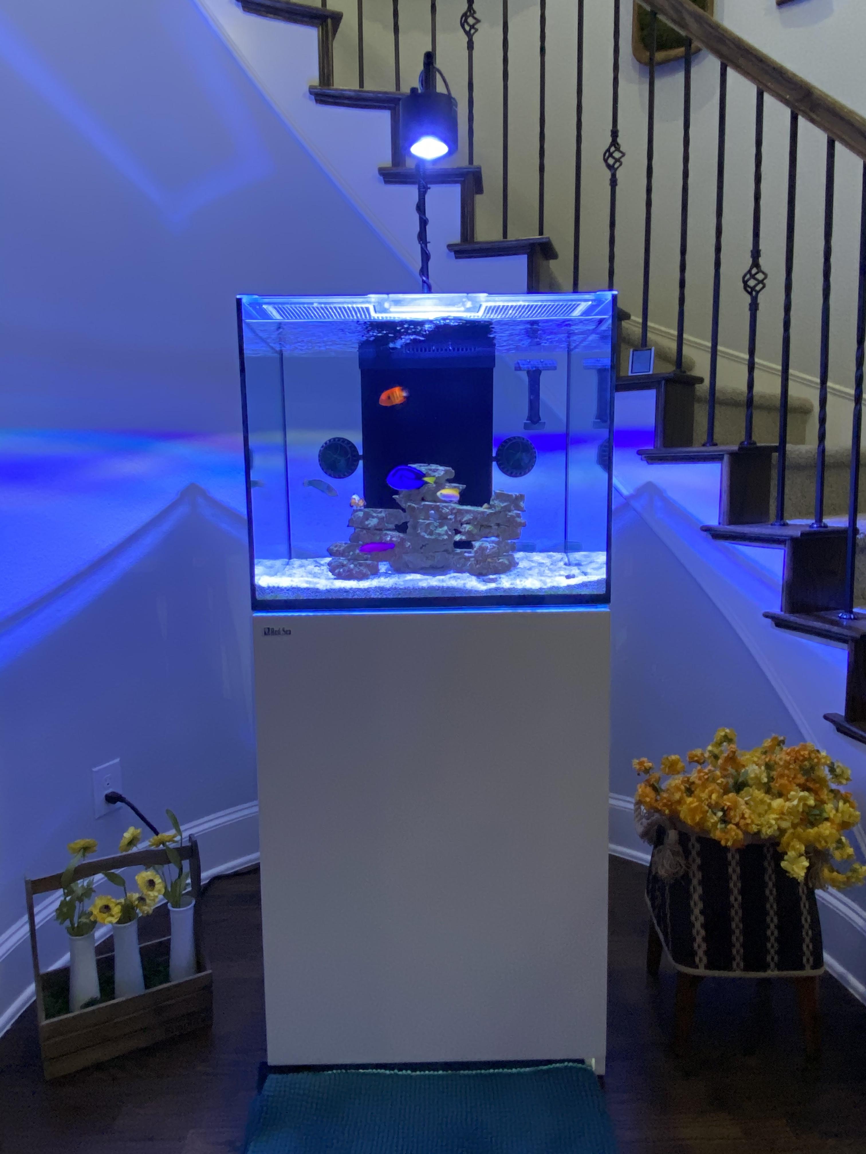 Red Sea Reefer 170 Extras Dry Goods For Sale Trade Dfwmas Forum